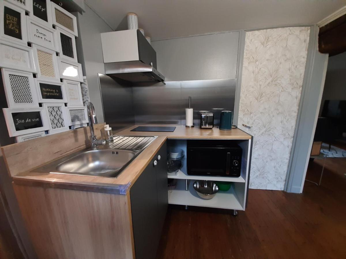 Dans Moulin Au Bord De L'Eau, Appartement Chaleureux Saint-Pryvé-Saint-Mesmin エクステリア 写真
